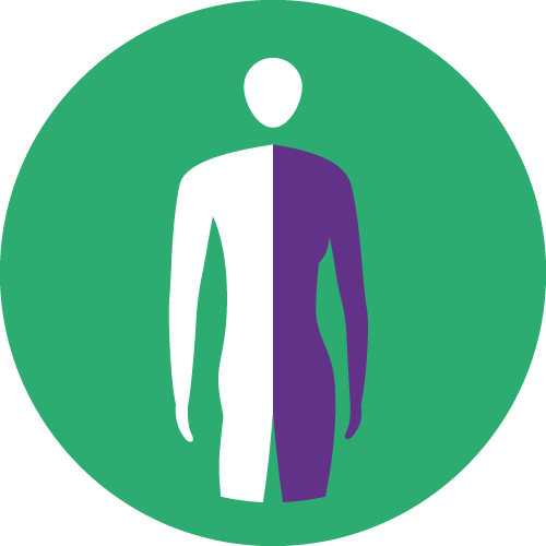 DEXA Partner scan 
